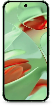 Google Pixel 9 256GB Wintergreen