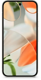 Google Pixel 9 256GB Porcelain