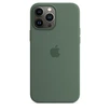 Apple Silicone Case with MagSafe for iPhone 13 Pro Max Eukalyptus