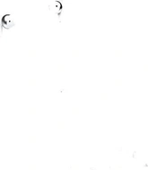 JBL Tune 215BT White