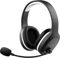 Trust Gaming GXT 391 Thian